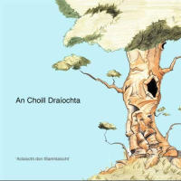 An Choill Draíochta (CD)
