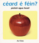 Céard é féin?