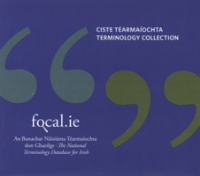 Ciste Téarmaíochta Focal.ie