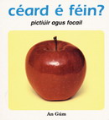 Céard é féin?